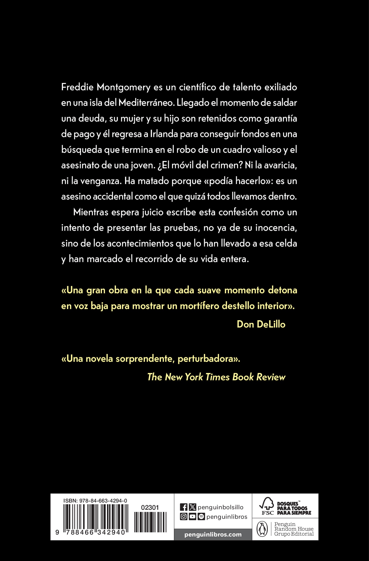El libro de las pruebas (Bolsillo) (Tapa blanda) 2