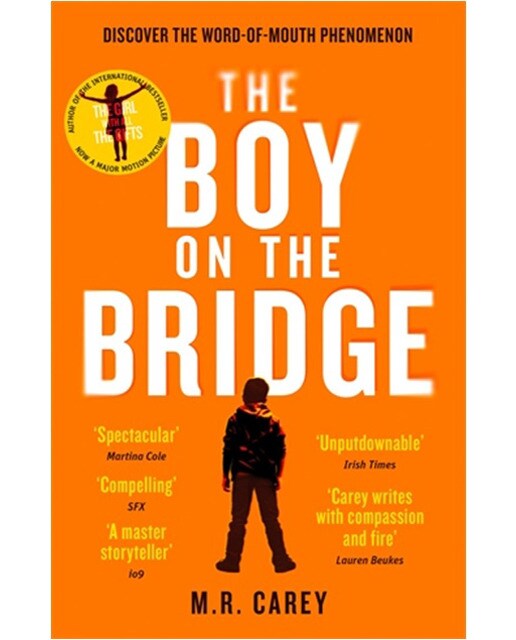 The boy on the bridge