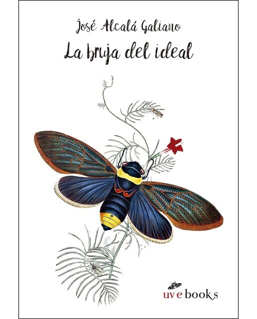 Imagem 0 de La Bruja Del Ideal: Cuento Soñado
