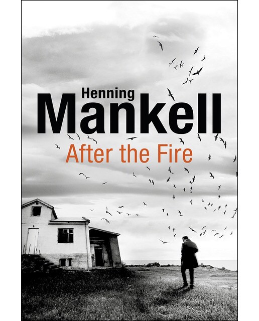Imagem 0 de After The Fire