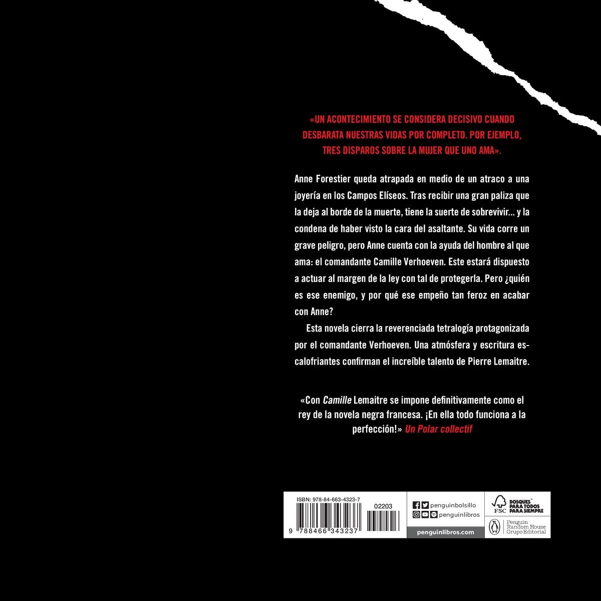 Camille (Un caso del comandante Camille Verhoeven 4) (Bolso) (Capa mole) 2