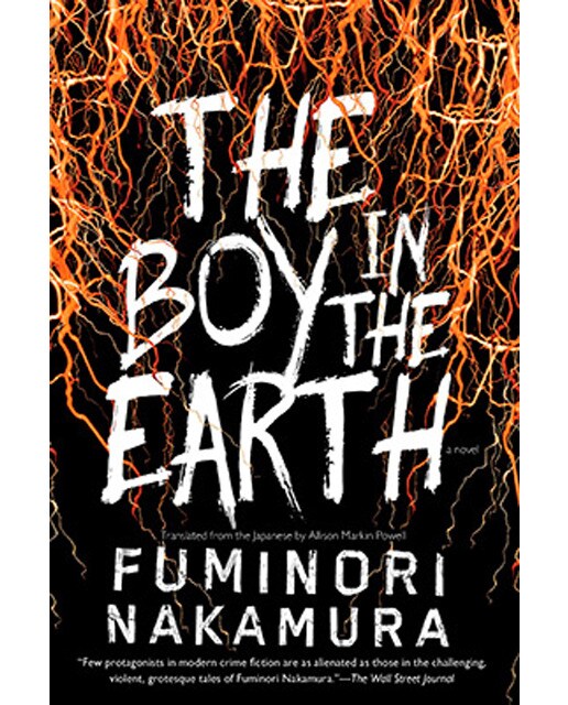 The Boy In The Earth 1