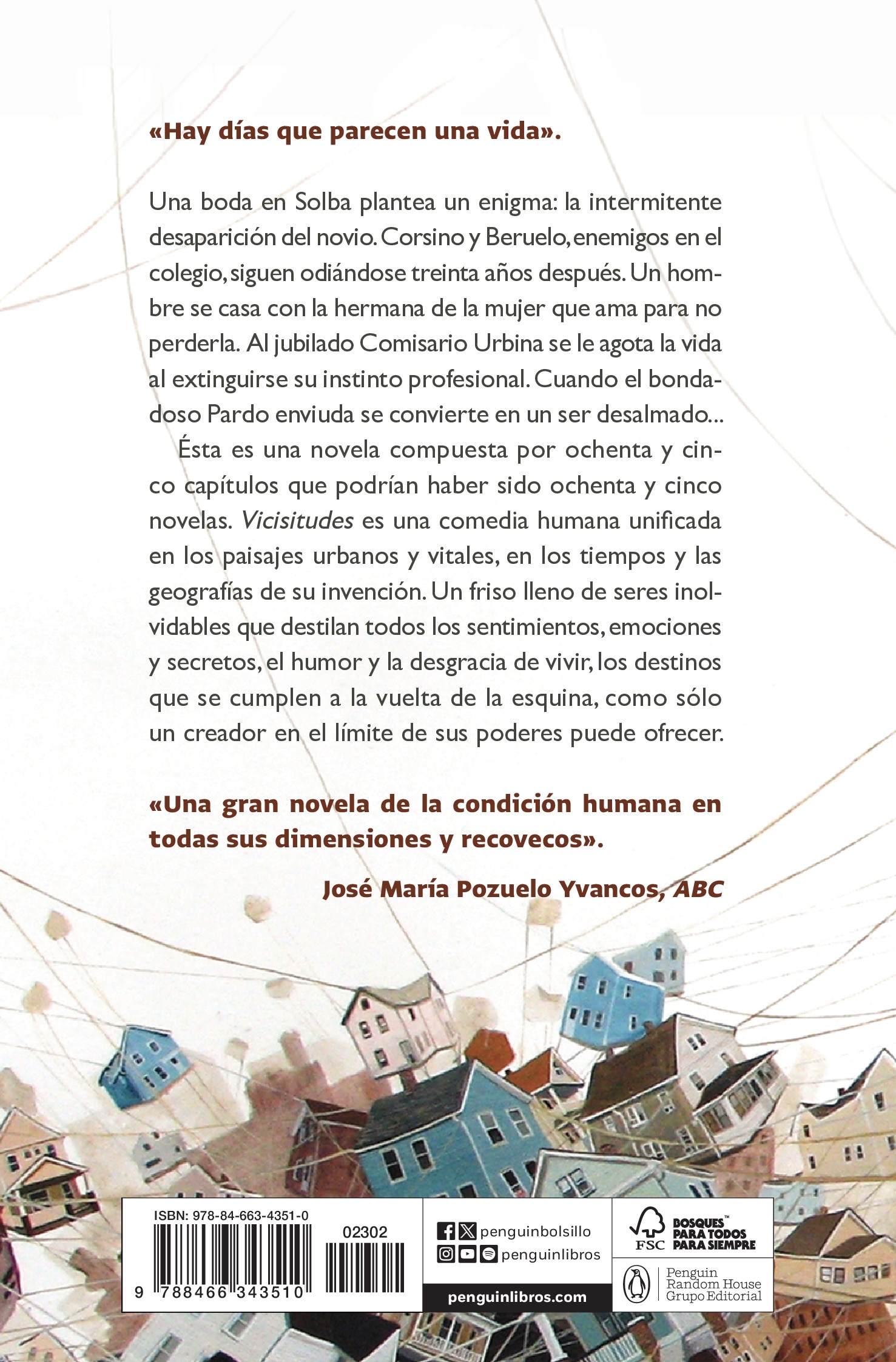 Vicisitudes (Bolsillo) (Tapa blanda) 2