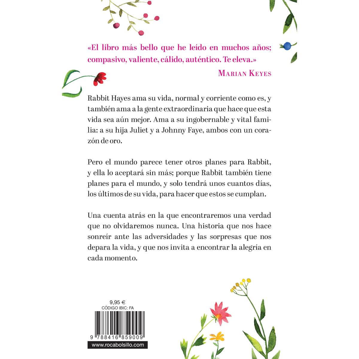 Los últimos días de Rabbit Hayes (Bolsillo) (Tapa blanda) 2