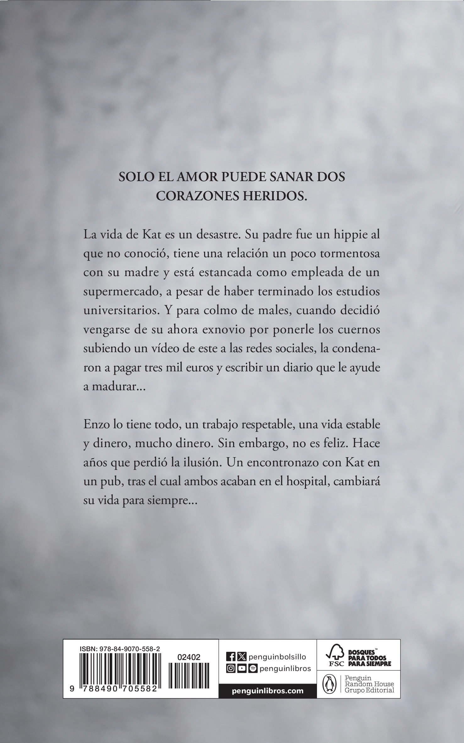 Diario de Kat (Bolso) (Capa mole) 2