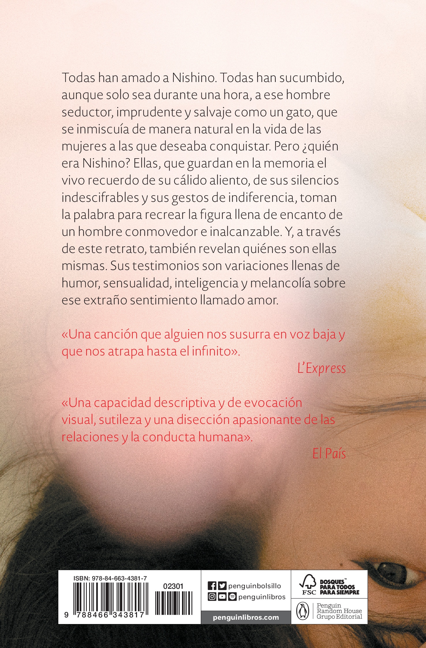 Los amores de Nishino  (Bolsillo) (Tapa blanda) 2