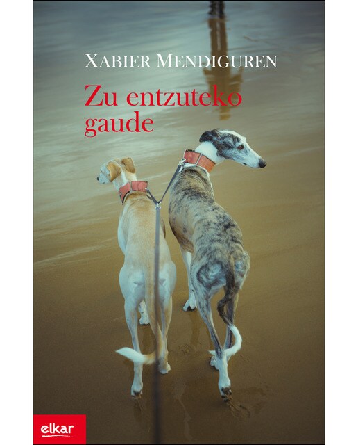 Zu entzuteko gaude(Tapa blanda) 1