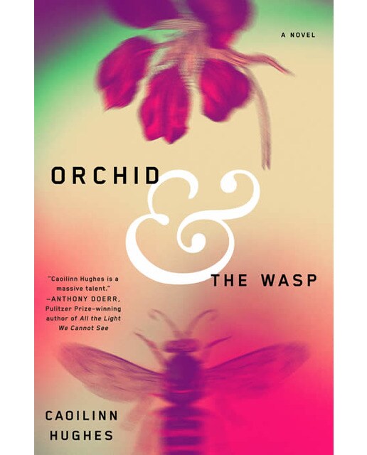 Orchid And The Wasp 1