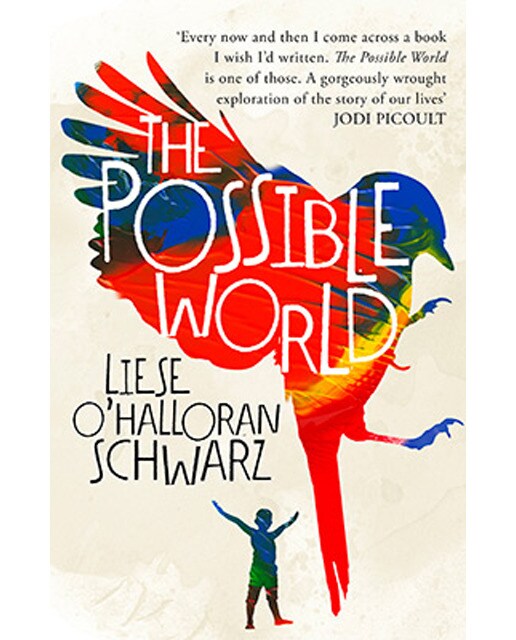 The Possible World 1