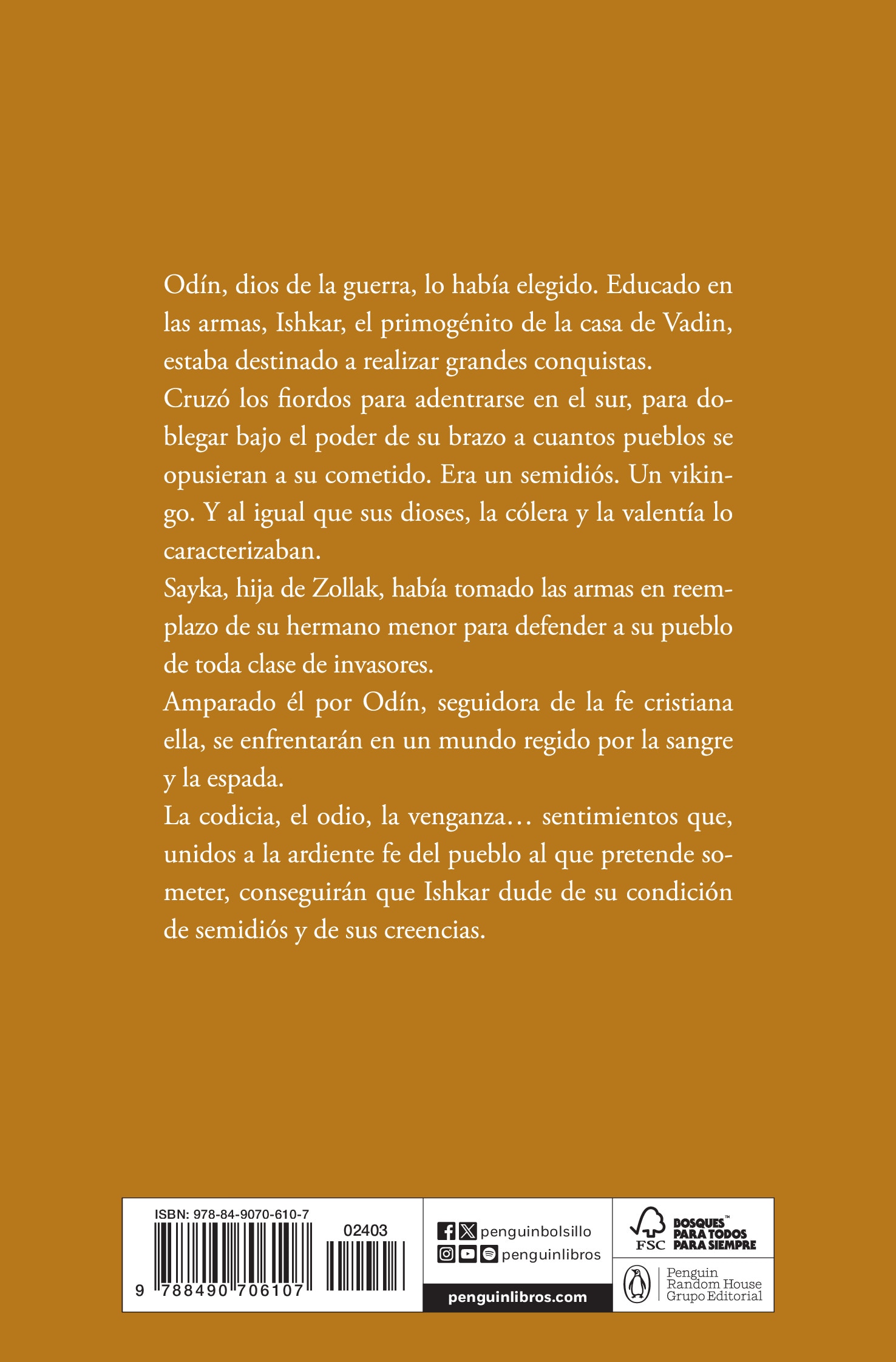 Alma Vikinga (Bolso) (Capa mole) 2