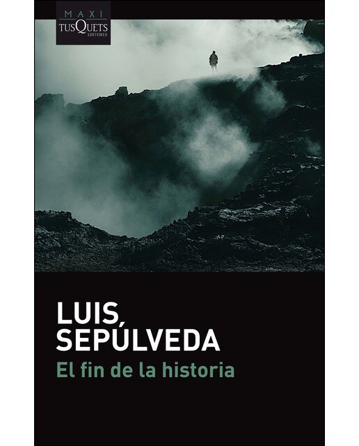 Imagen 0 de El fin de la historia (Bolsillo) (Tapa blanda)