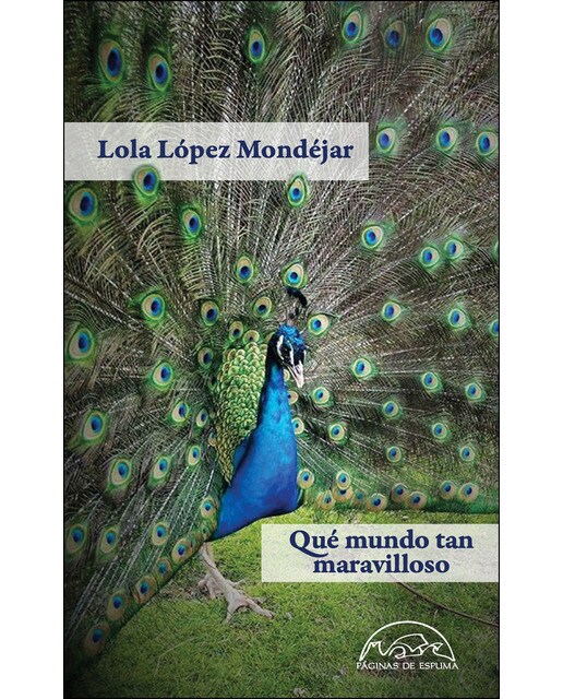 Qué mundo tan maravilloso 1