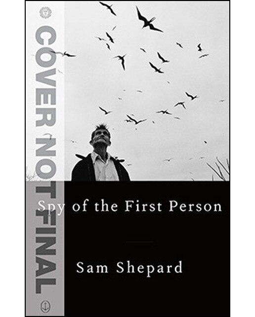 Spy Of The First Person 1