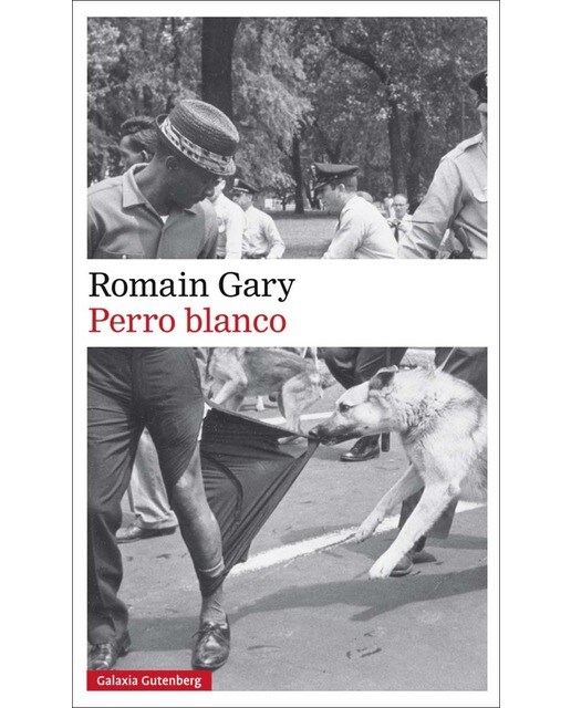 Imagen 0 de Perro blanco (Tapa blanda)