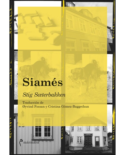 Siamés
