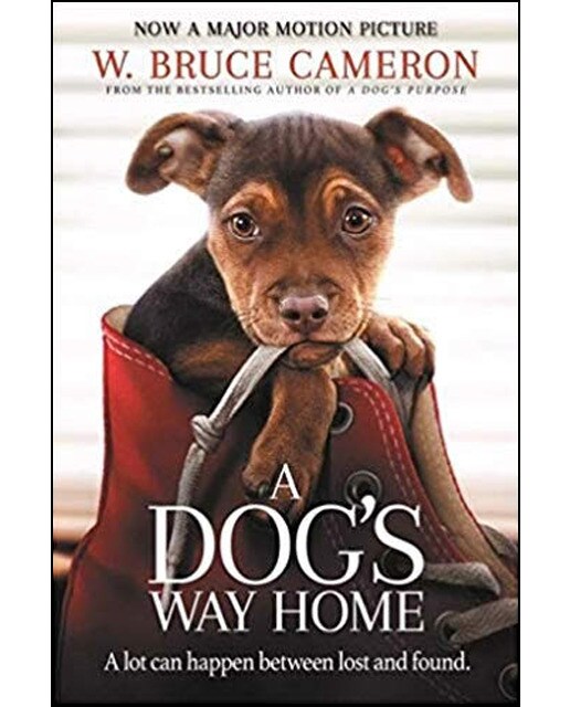 A dog's way home (film) 1