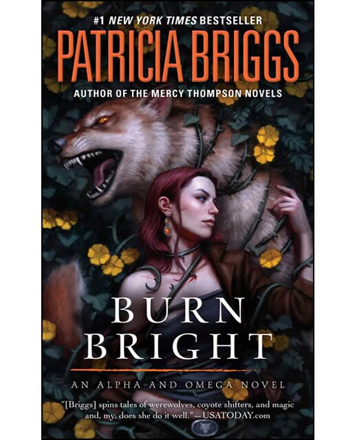 Burn Bright 1