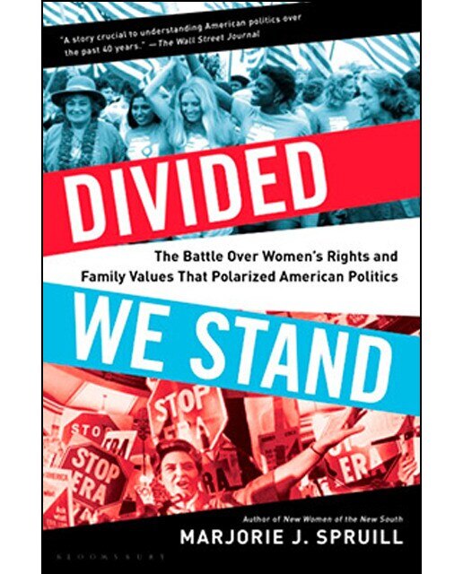 Divided We Stand 1