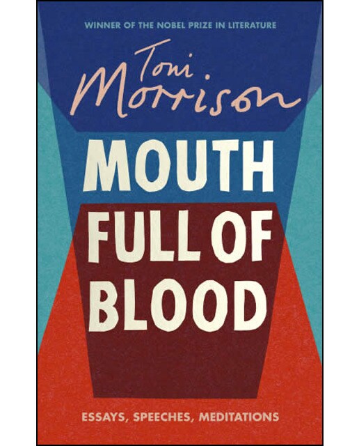 Mouth Full Of Blood: Essays Speeches And Meditat 1