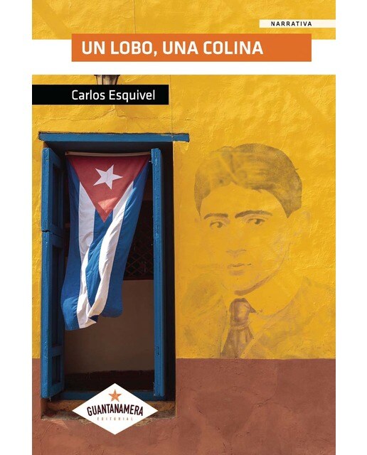 Imagen 0 de Un lobo, una colina  (Tapa blanda)