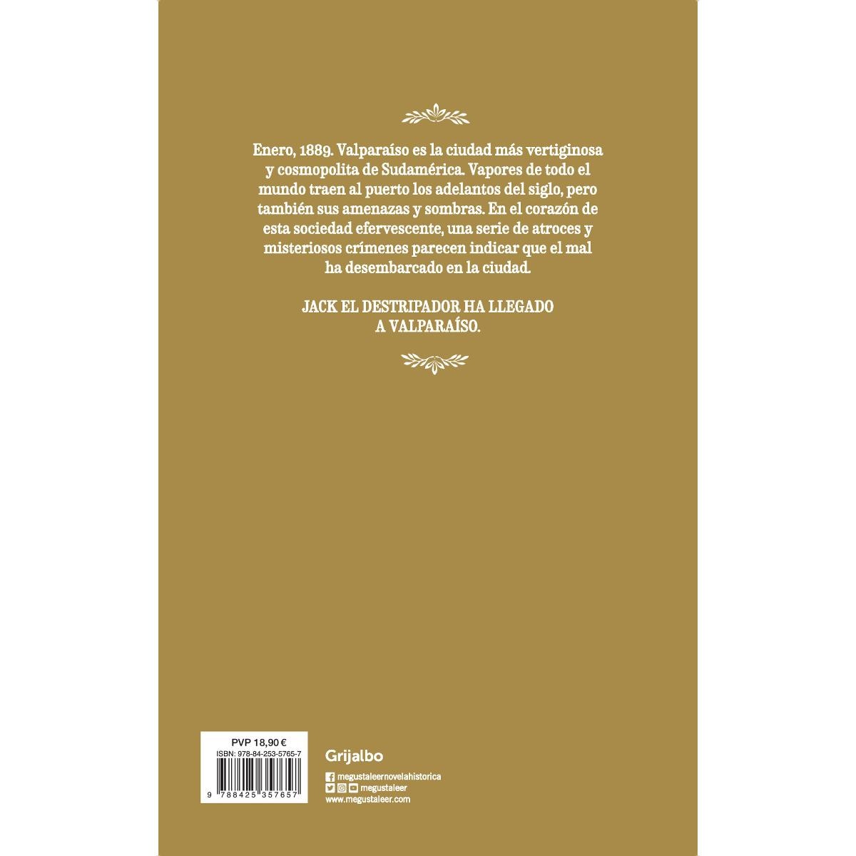 El visitante extranjero(Tapa blanda) 2