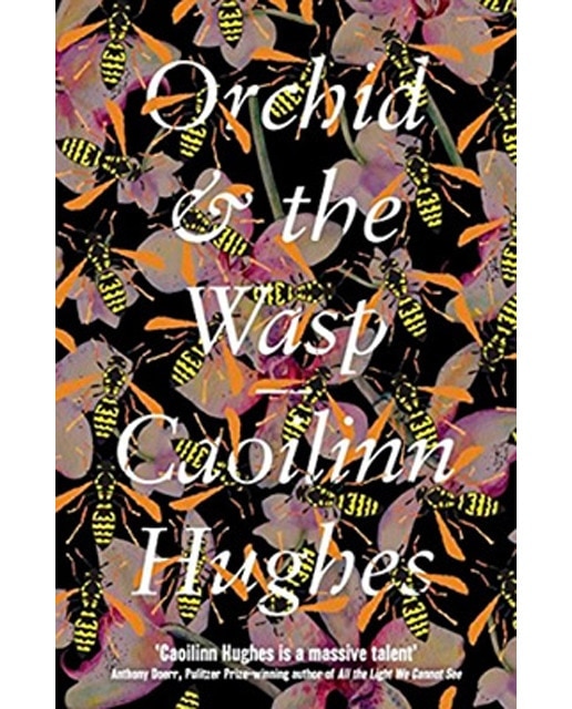 Orchid And The Wasp 1