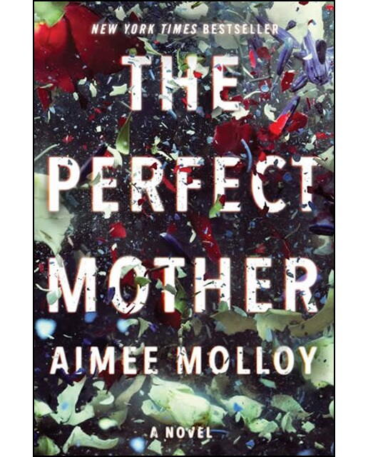 The Perfect Mother 1