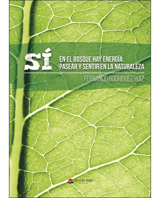 Sí, en el bosque hay energía. Pasear y sentir en la naturaleza