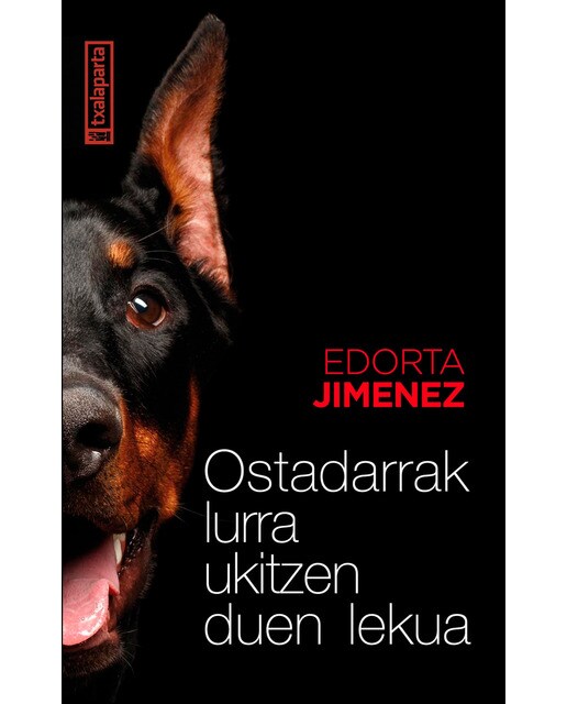 Ostadarrak lurra ukitzen duen lekua 1