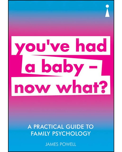 A Practical Guide To Family Psychology 1