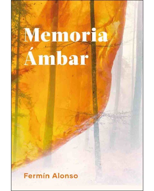 Memoria ámbar