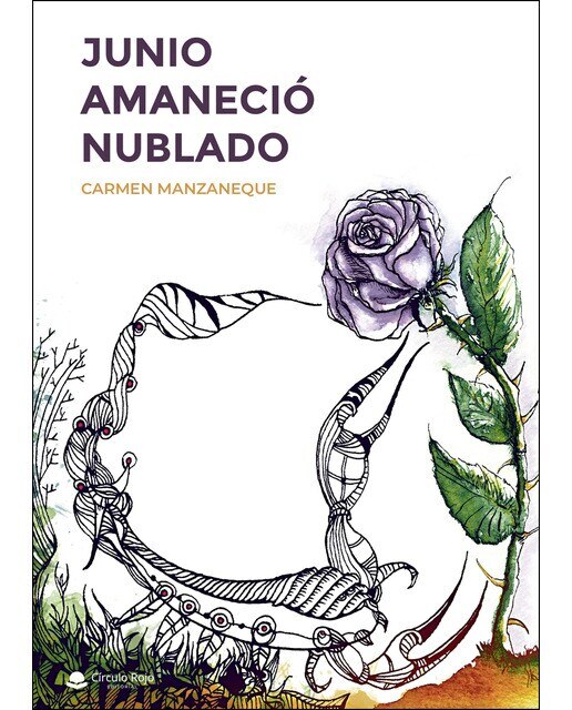 Imagen 0 de Junio amaneció nublado  (Tapa blanda)