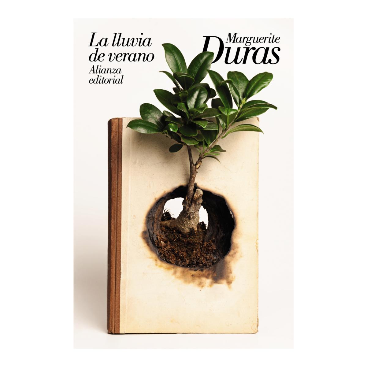 Imagem 0 de La lluvia de verano(Bolsillo) (Tapa blanda)