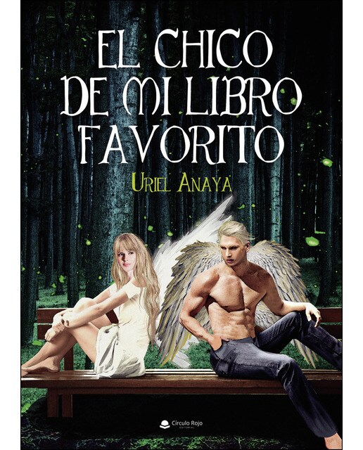 El chico de mi libro favorito(Tapa blanda) 1