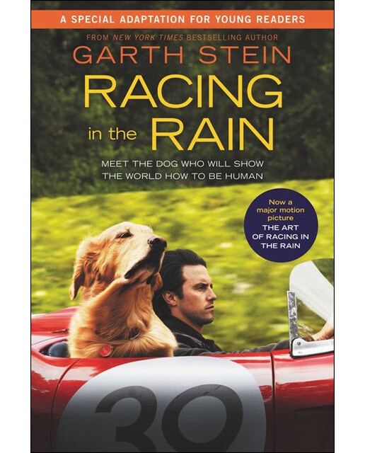 The art of racing in the rain (film) 1