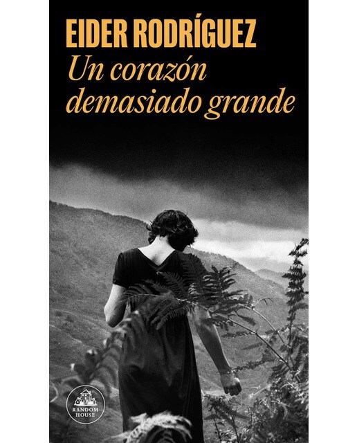 Imagem 0 de Un corazón demasiado grande(Tapa blanda)
