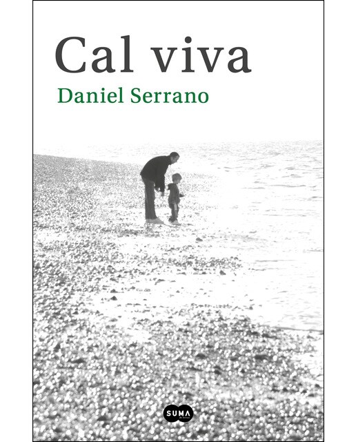 Imagen 0 de Cal viva (Tapa blanda)