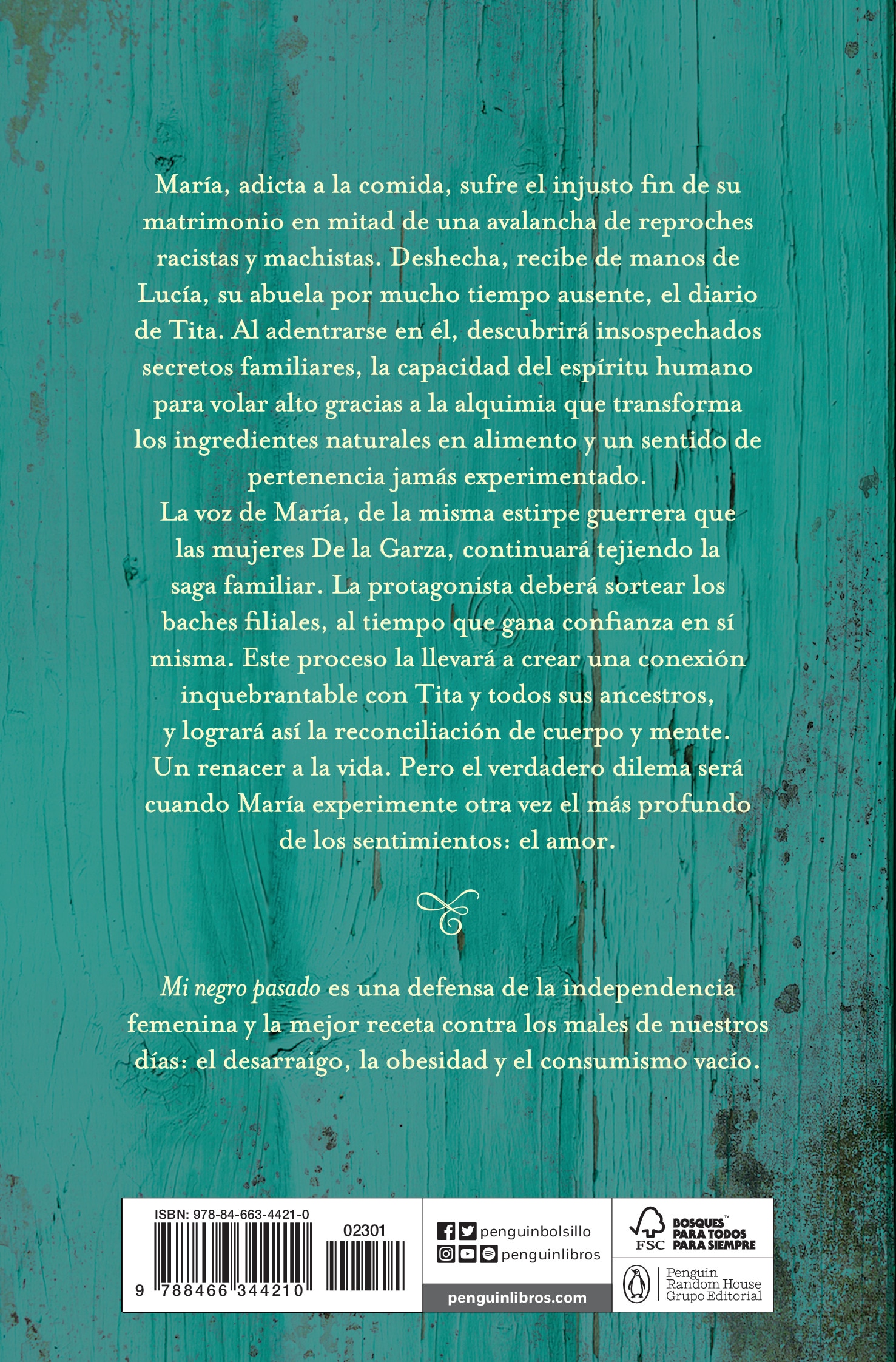 Mi negro pasado(Tapa blanda) 2