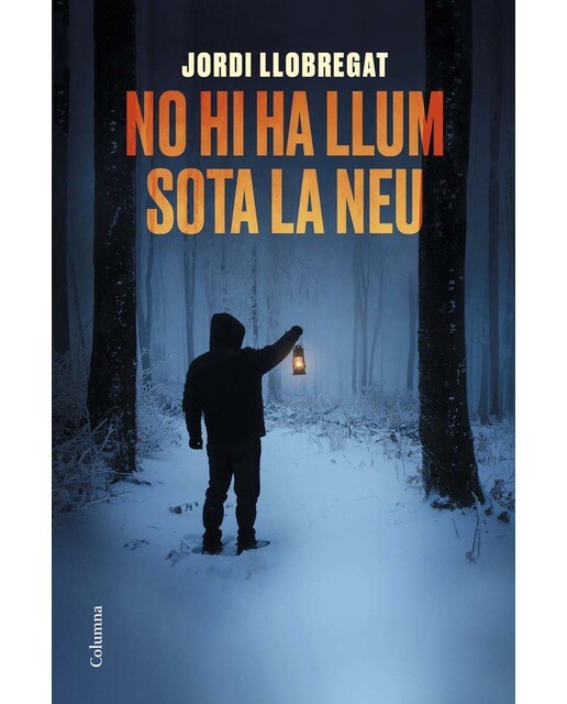 Imagen 1 de No hi ha llum sota la neu  (Tapa blanda con solapas)