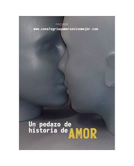 Un pedazo de historia de amor(Tapa blanda) 1