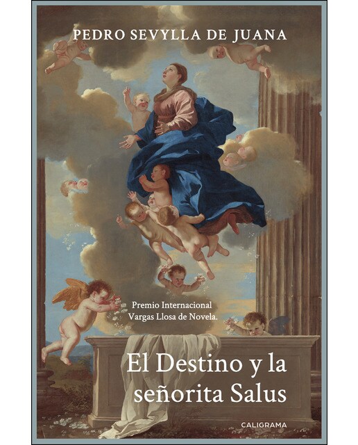 Imagen 1 de El Destino y la señorita Salus  (Tapa blanda)
