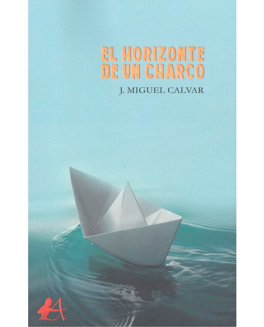 El horizonte de un charco