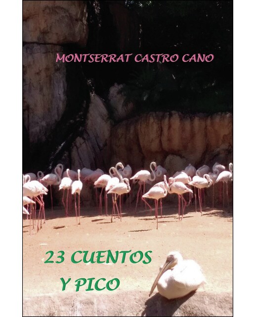 23 Cuentos Y Pico 1