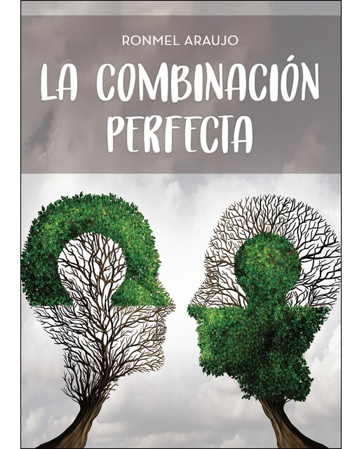 La combinación perfecta(Tapa blanda) 1