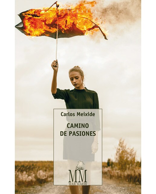 Camino de pasiones(Tapa blanda) 1
