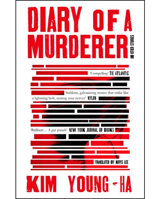 Diary of a murderer 1