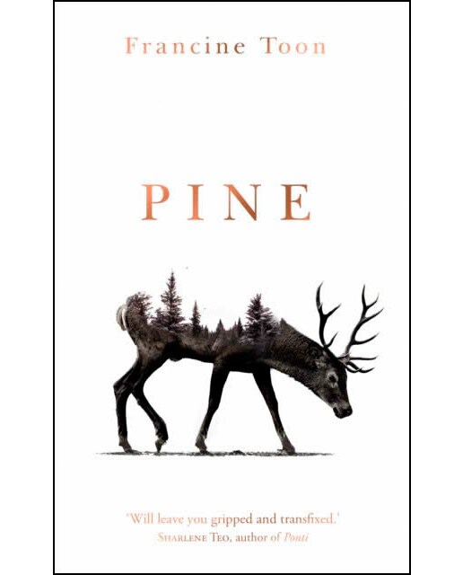 Pine 1