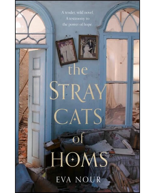 The stray cats of homs 1