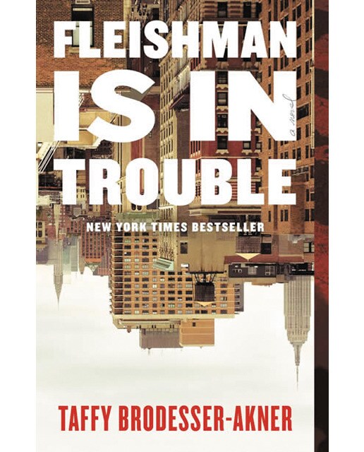 Fleishman is in trouble 1