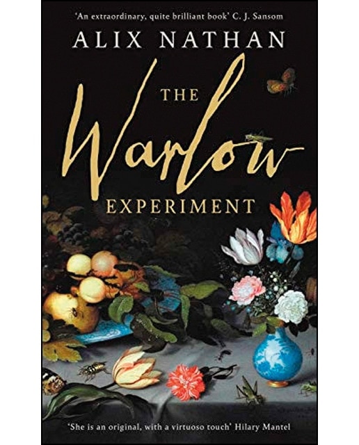 The warlow experiment 1